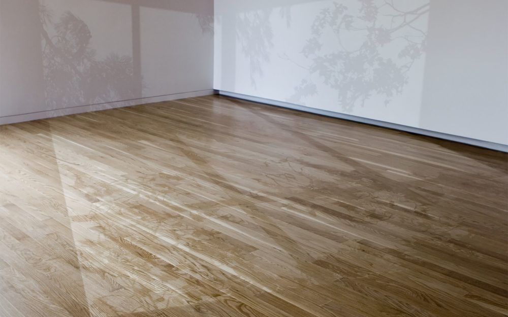 Shadow of trees cast over a room with white walls and hardwood floors