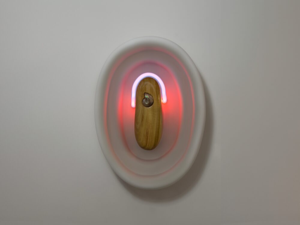 An oval wall mounted sculpture with a pink neon element and a shell.