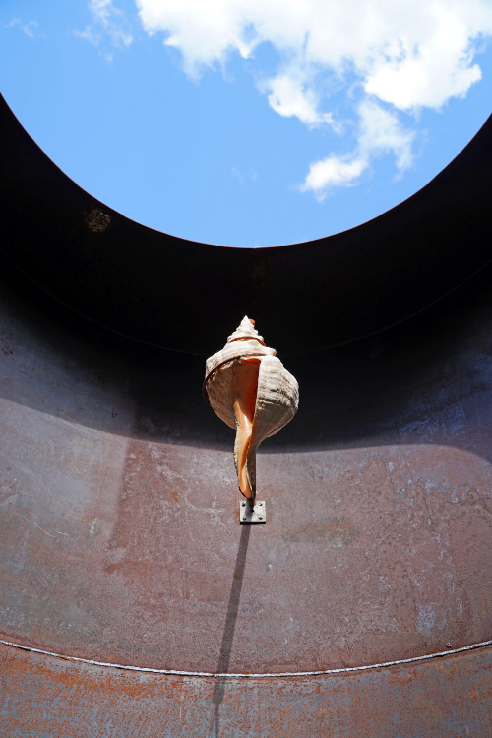 Pink shell appears to be floating in a steel chamber with blue sky in the background