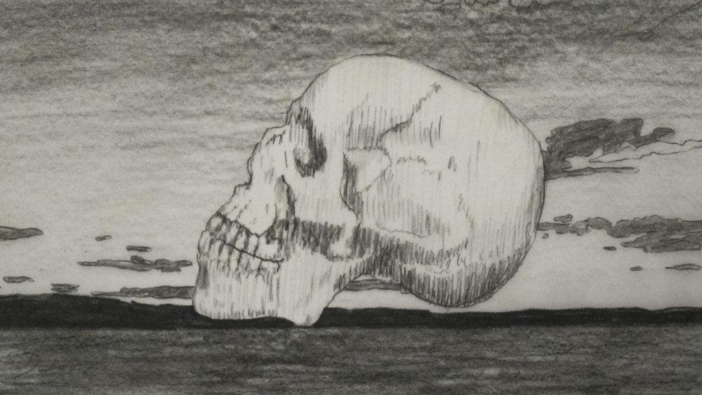 Drawing of side view of a human skull.