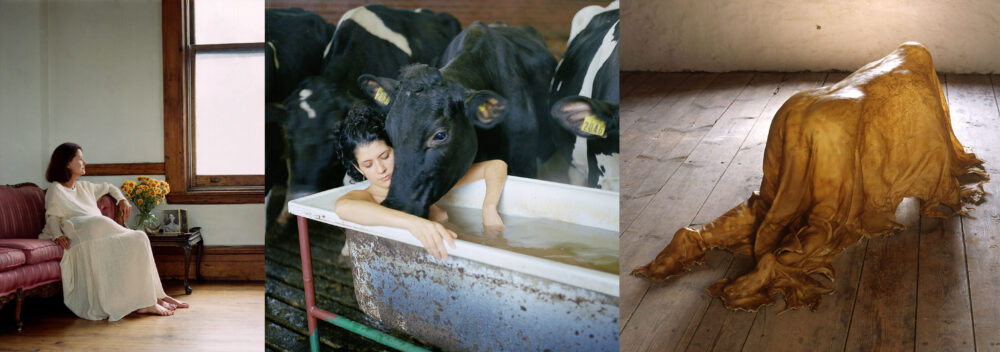 3 photos in succession: photography of a seated woman, a woman in a bathtub situated by a leaning cow, a human figure made of animal hide