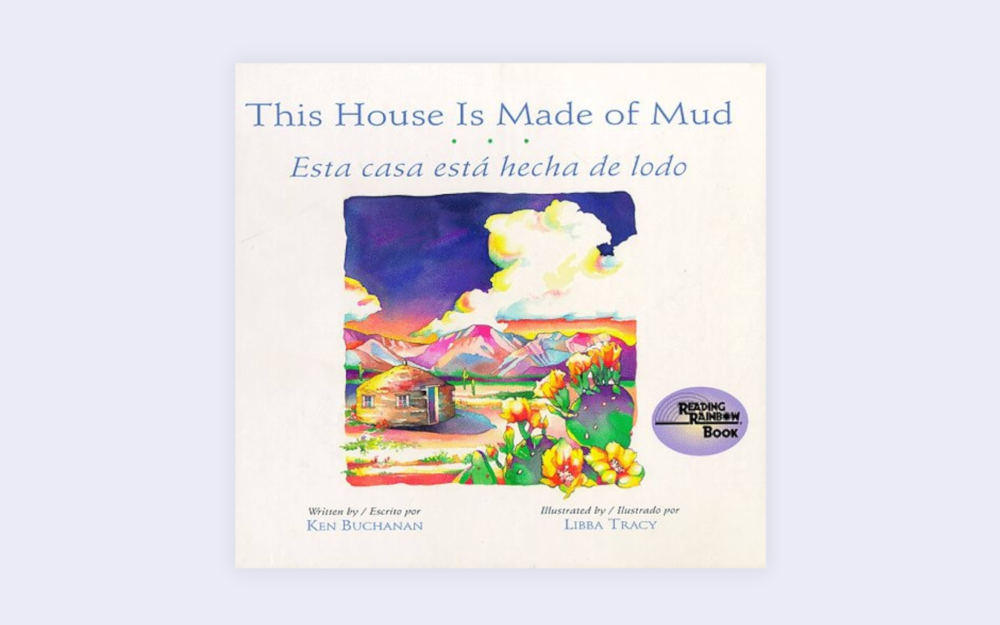 This House is Made of Mud book cover