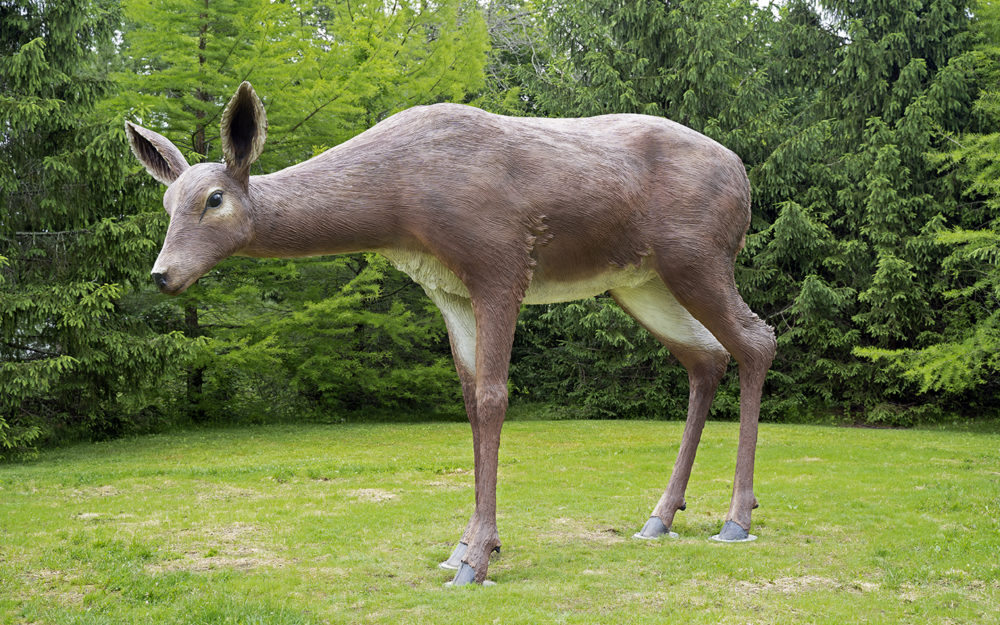 Large sculpture of a white-tailed deer