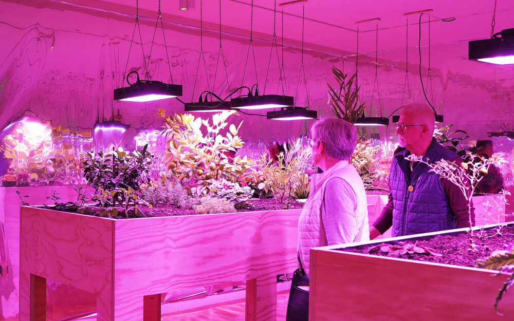 visitors at an installation of an indoor garden