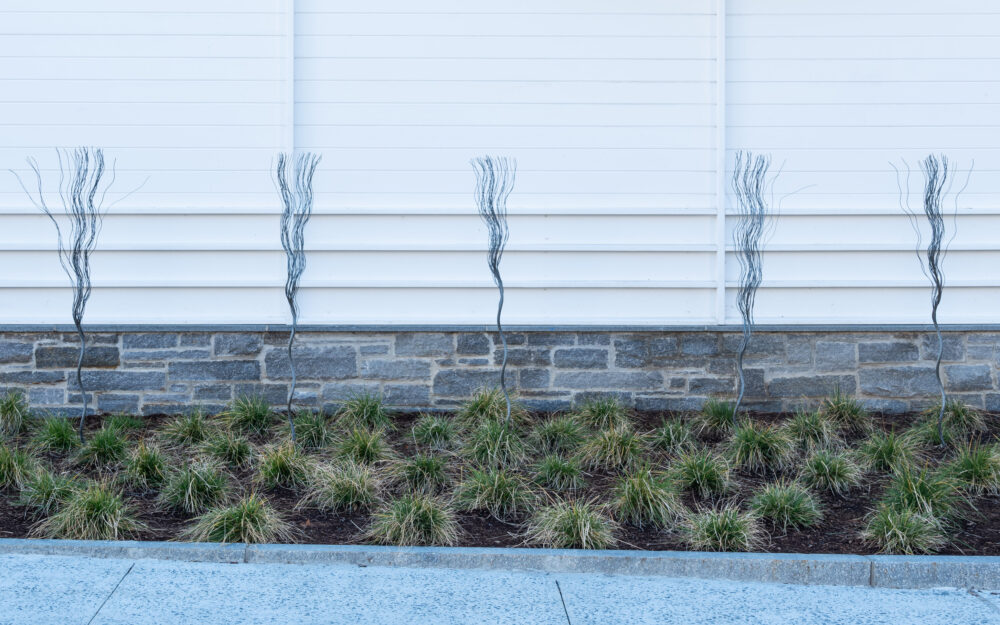 Outdoor installation of several artificial bushes constructed with wire rope lined up against the wall of a building