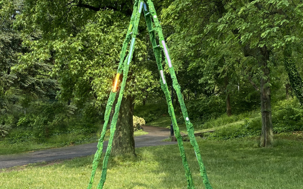 A green step ladder placed on grass with leafy green trees in the background.