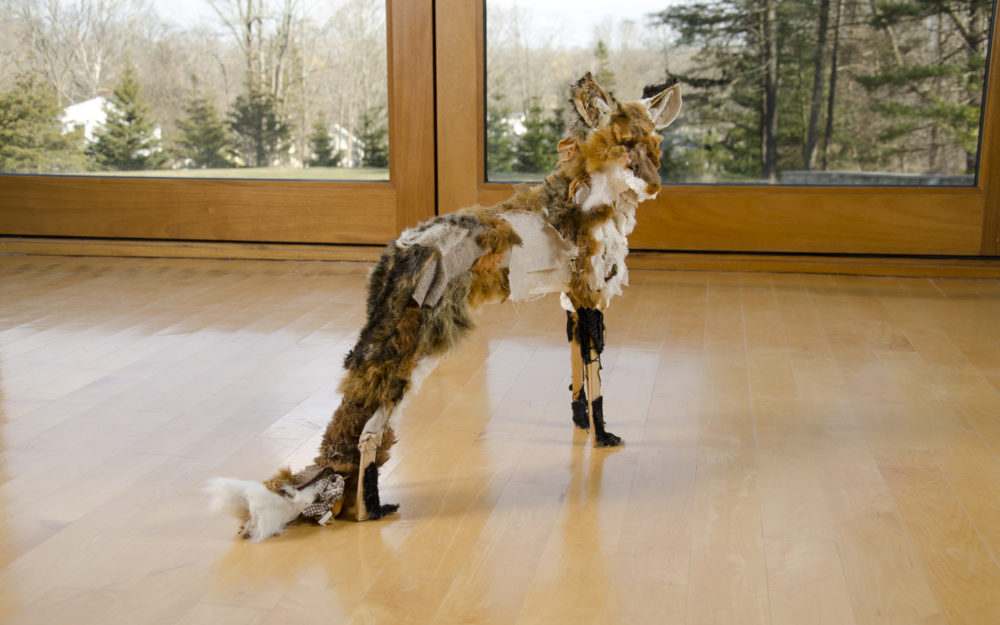 Small fox-like figure sits on the gallery floor