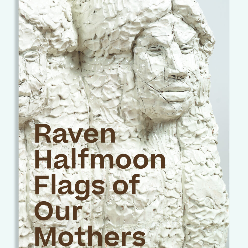 Raven Halfmoon book cover