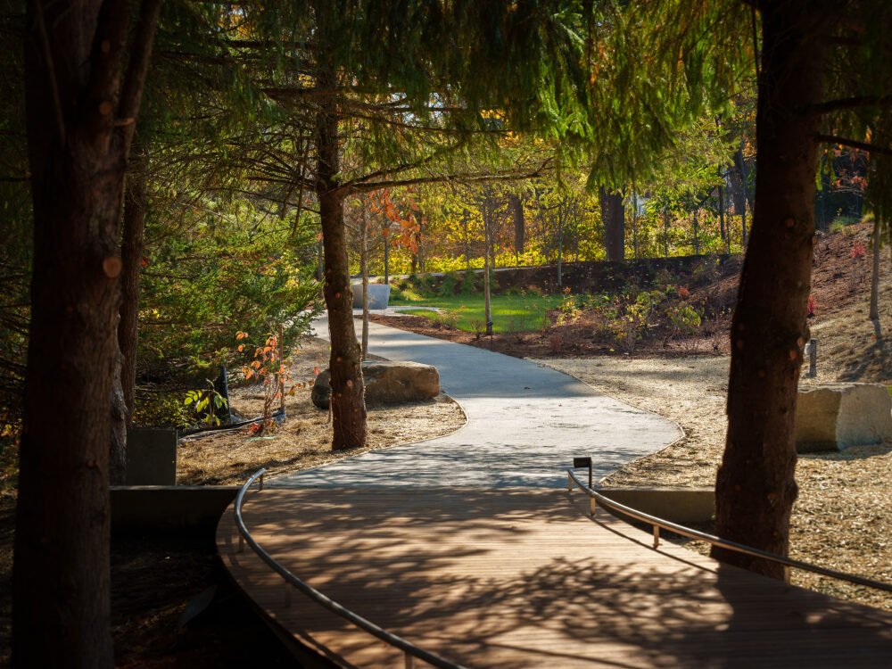 outdoor photo of a pathway in a garden