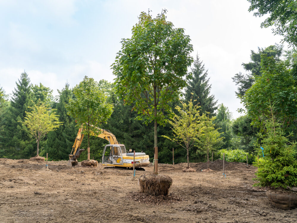 Aldrich Sculpture Garden renovation progress