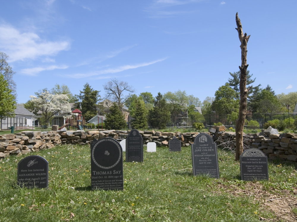Close up view of Cemetery Installation