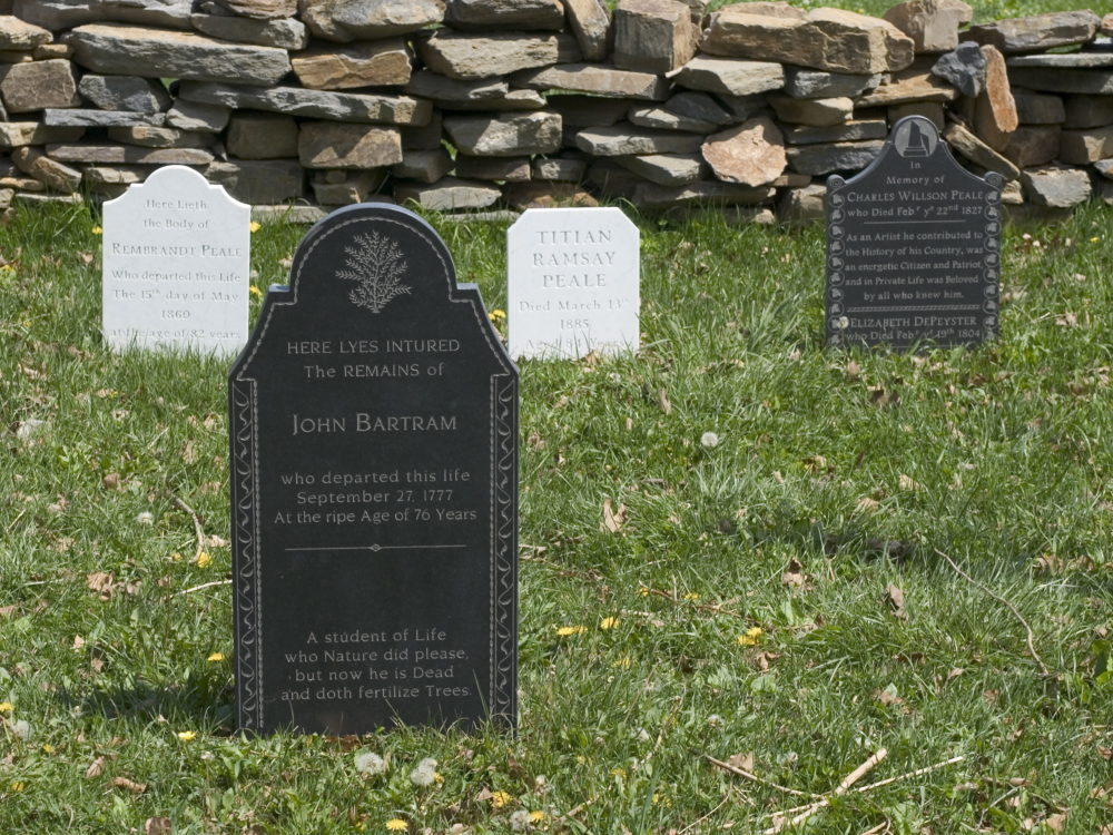 Close up view of Cemetery Installation