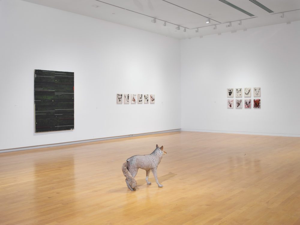 A dark abstract painting to the left, the side of a model coyote in the center of the room, and two grids of abstract coyote head paintings in the background.