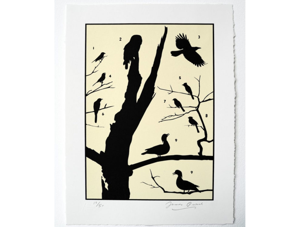 Print of silhouette birds