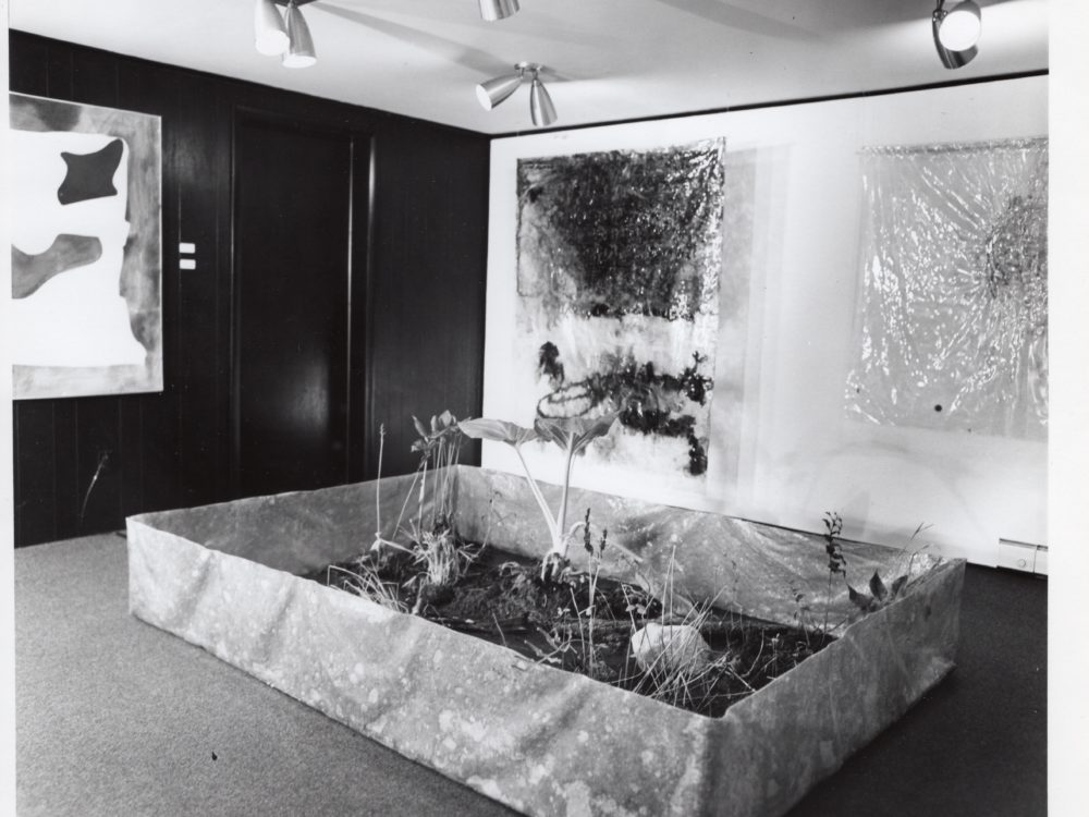 Black and white photo of a gallery with abstract paintings on the wall and a sculpture that looks like a garden box with plants in the foreground.