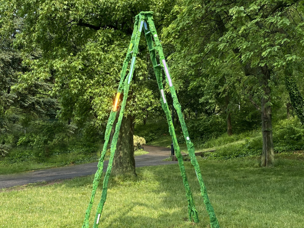 A green step ladder placed on grass with leafy green trees in the background.