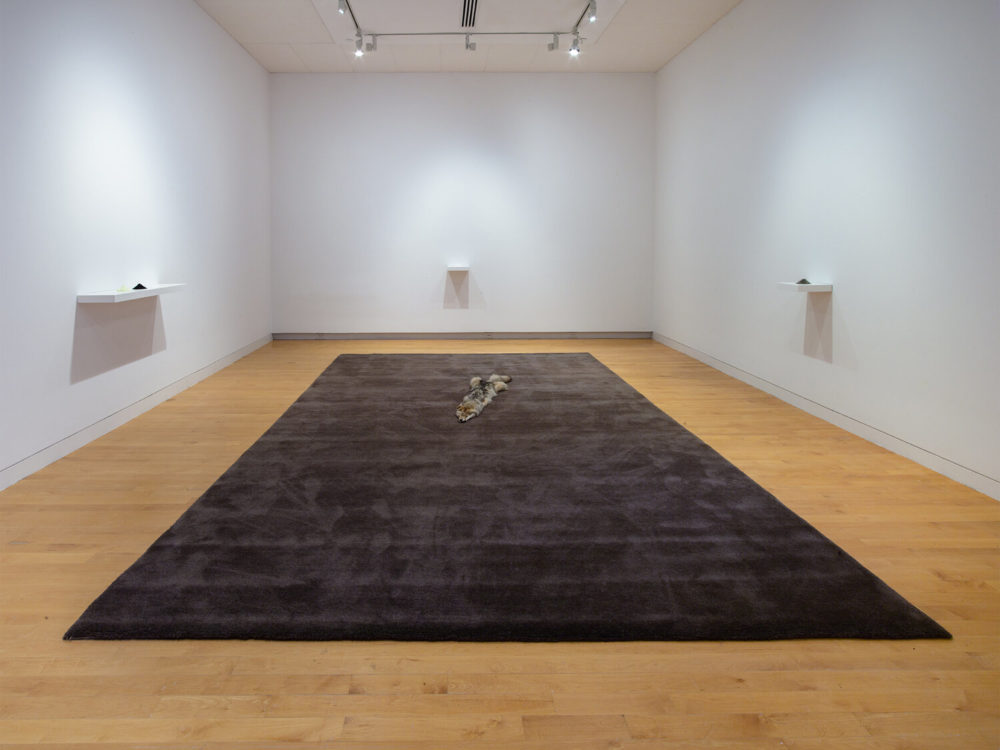 Handmade gray carpet in gallery