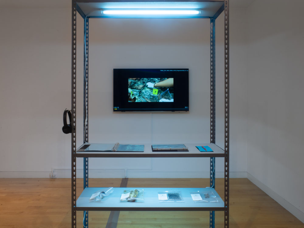 Forensic shelves with evidence samples on each, a video plays in the background