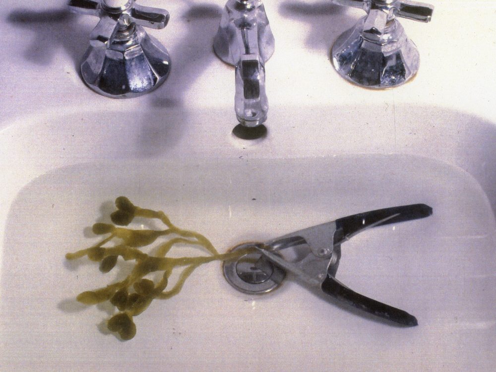A sink with water and an algae attached to a pair of pliers